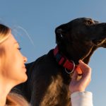 Sunscreen Tips That Will Change Your Skincare Game